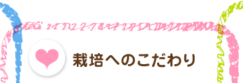 栽培へのこだわり