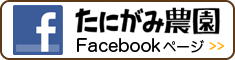 facebookページ